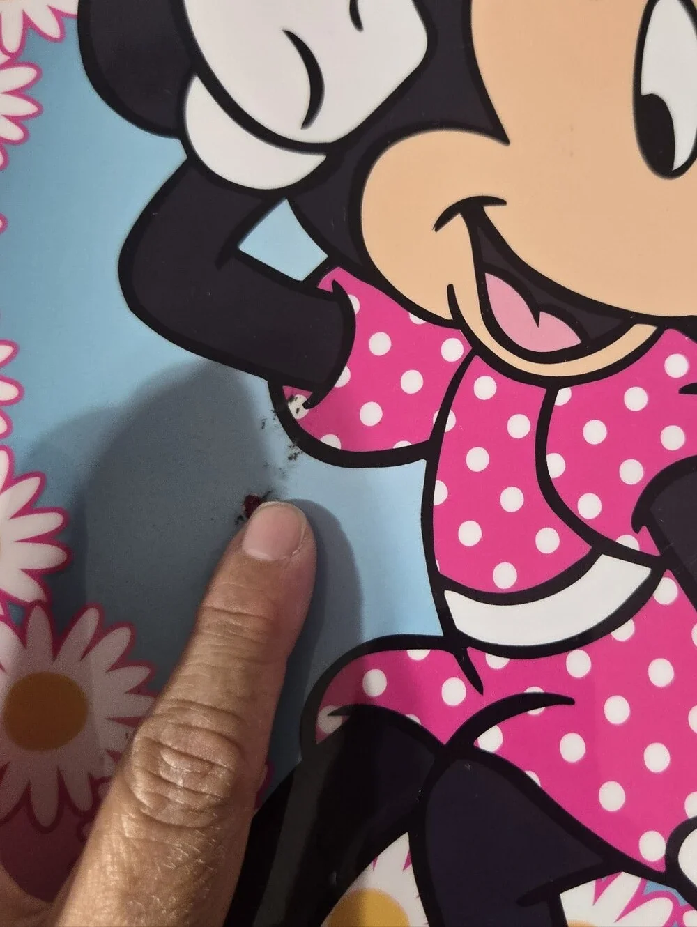 Disney good used